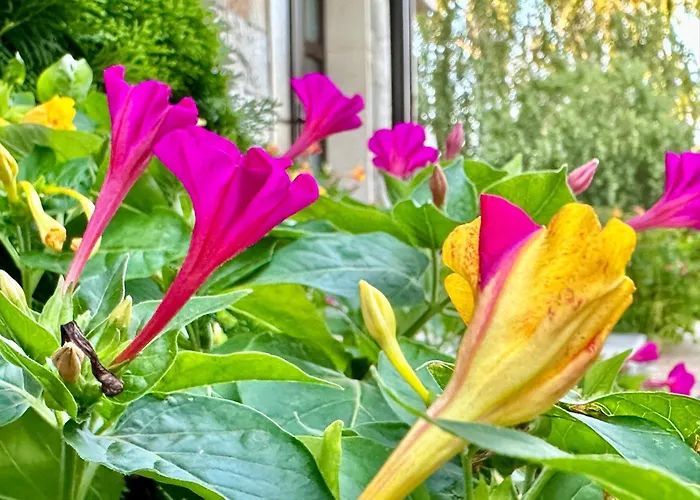 Apartamento Menada Imperial Heights *